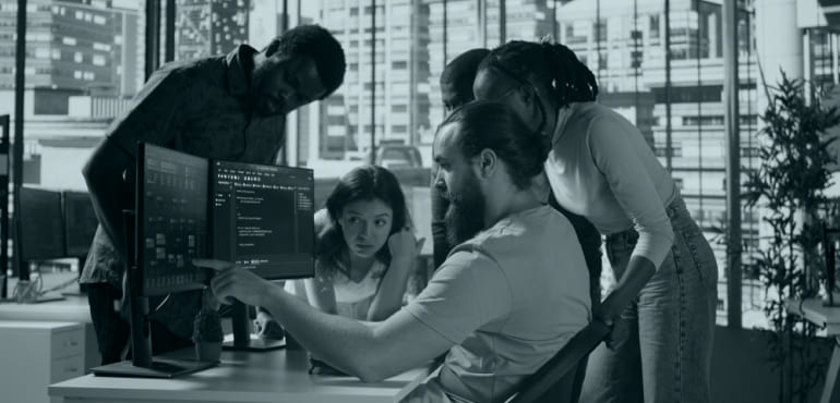 Custom Software Engineering